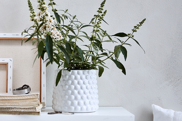 Sale blomsterskjulere