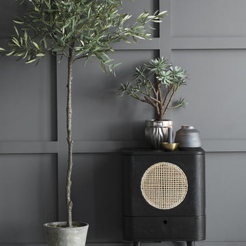 Flora Oliventre H160 Ø24 cm. grønn