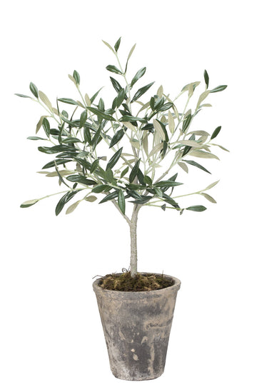 Flora Oliventre H44 Ø13 cm. grønn