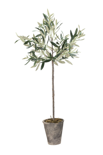 Flora Oliventre H73 Ø13 cm. grønn