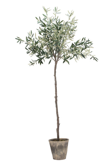Flora Oliventre H160 Ø24 cm. grønn