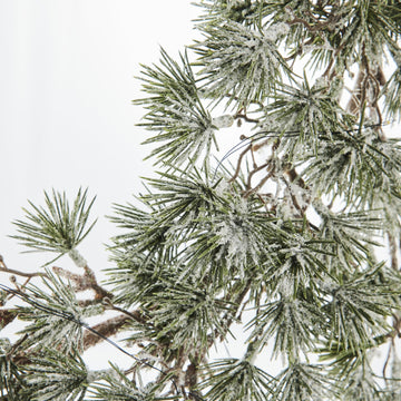 Vintia D45 cm. grønn