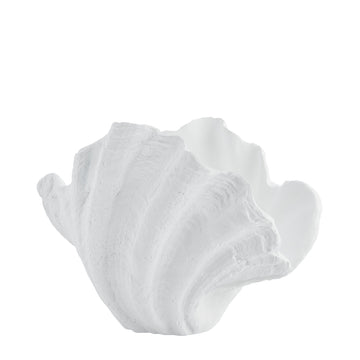 Shella dekorasjon H23 Ø26 cm. hvit