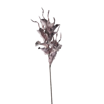 Happia skumblomst 90 cm lilla