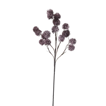 Happia skumblomst 90 cm rosa