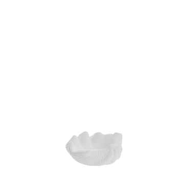 Shella dekorasjon 5,5x12 cm. hvit