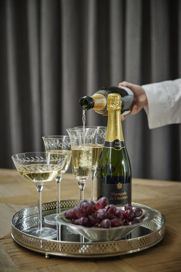 Dauphine champagne glass transparent 23,5x7 cm.