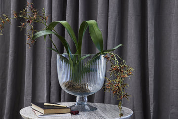 Carla vase H27,5 cm. transparent