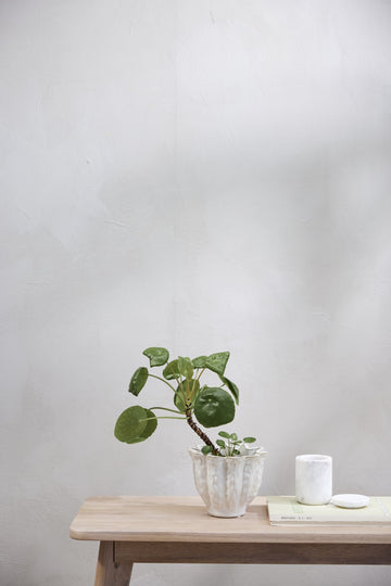 Ellia krukke 9x6 cm. hvit