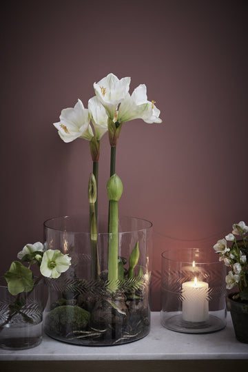 Carla vase H13 cm. transparent