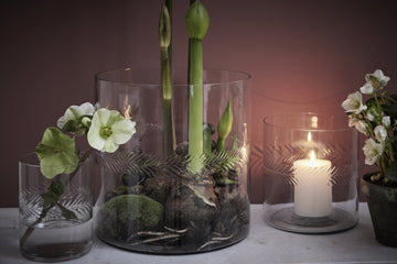Carla vase H20 cm. transparent