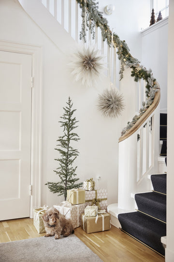 Cedille LED girlander 153 cm. grønn