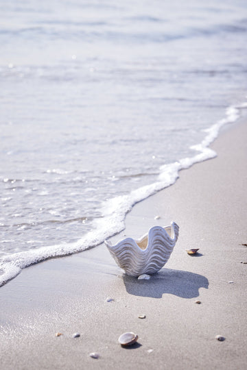 Molli gjestehåndkle 50x30 cm. sand