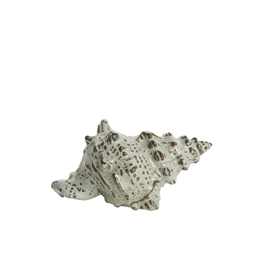 Shellille dekorasjon konkylie D15 H7.5 Lin