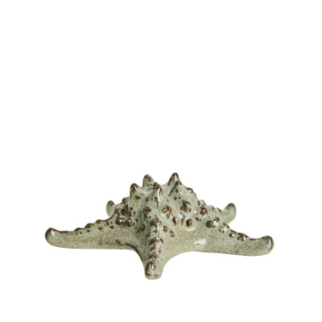 Skjelldekorasjon sjøstjerne D16,5 H5,5 Lin