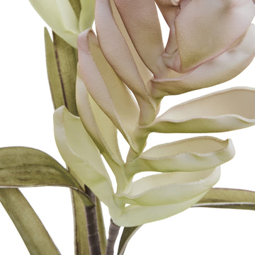 Happia blomsterdekorasjon H4 cm. Rose