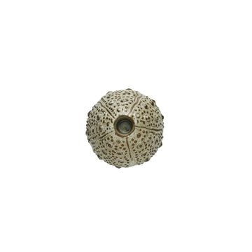 Shellille lysestake kråkebolle D10 H7.5 Lin