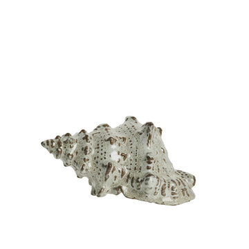 Shellille dekorasjon konkylie D15 H7.5 Lin