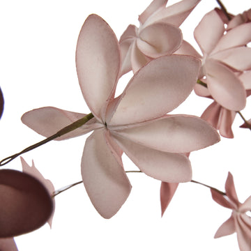 Happia blomsterdekorasjon H7 cm. Rose Tan