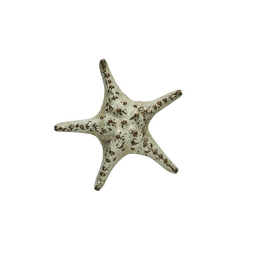Skjelldekorasjon sjøstjerne D16,5 H5,5 Lin