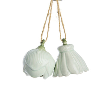 Dehlia sett med 2 blomsteropphenger L. Grønn