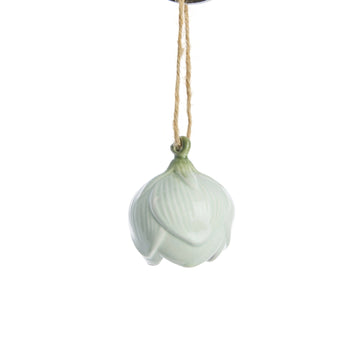 Dehlia sett med 2 blomsteropphenger L. Grønn