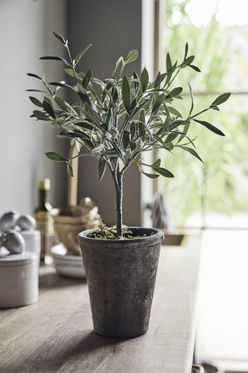 Flora Oliventre H44 Ø13 cm. grønn