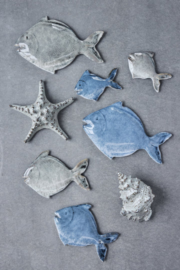 Skjelldekorasjon sjøstjerne D16,5 H5,5 Lin