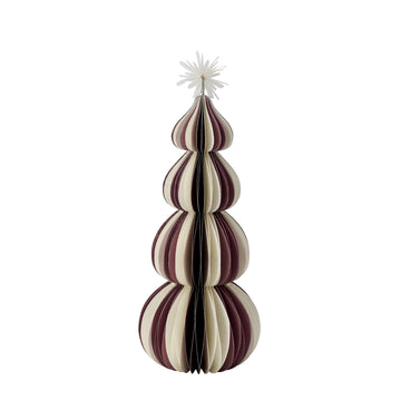 Paulinia tre xx25 cm.