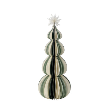 Paulinia tre xx25 cm.