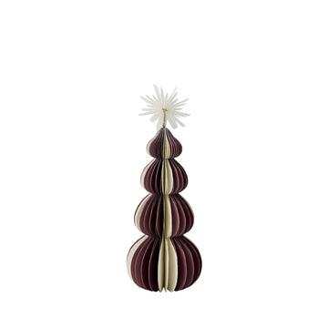 Paulinia tre xx15 cm.