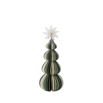 Paulinia tre xx15 cm.