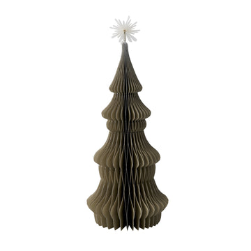 Paulia tre xx30 cm.