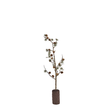 Cedine tre 25x25x65 cm.