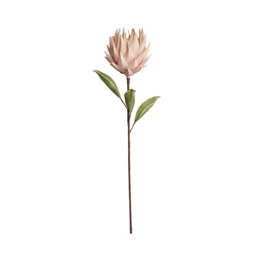Happia blomst 77x16x16 cm.