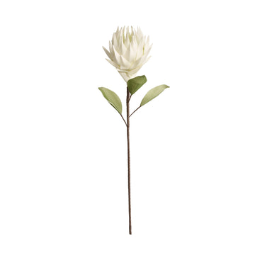 Happia blomst 77x16x16 cm.