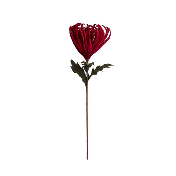 Happia blomst 68x32x32 cm.