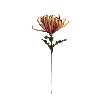 Happia blomst 68x32x32 cm.
