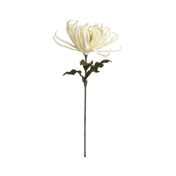 Happia blomst 68x32x32 cm.