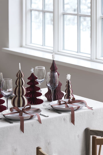 Paulinia tre xx15 cm.