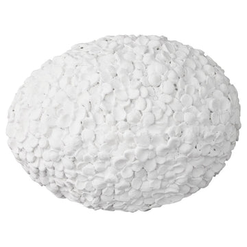 A00005570