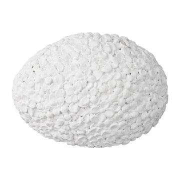 A00005566