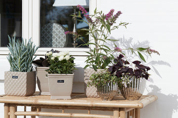 Rosalie potteskjuler H19 Ø20 cm. sølv